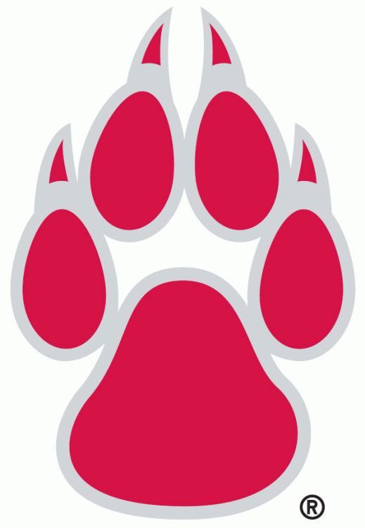 New Mexico Lobos 1999-Pres Alternate Logo v3 diy iron on heat transfer